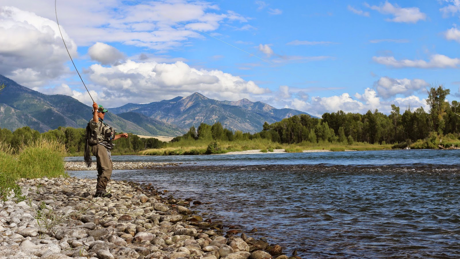 Fly Fishing & Golf in Jackson Hole