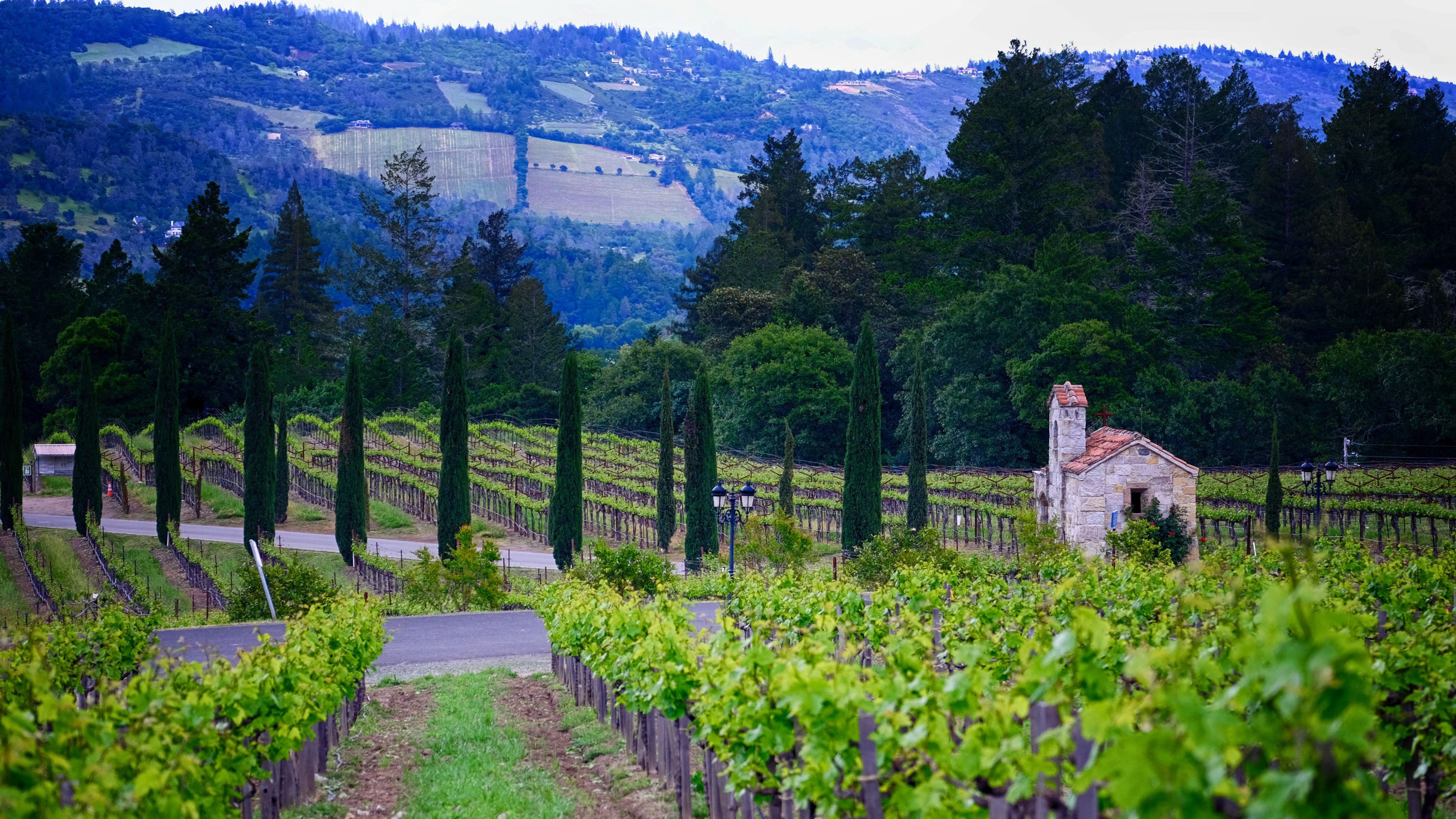 The Best of Napa Valley